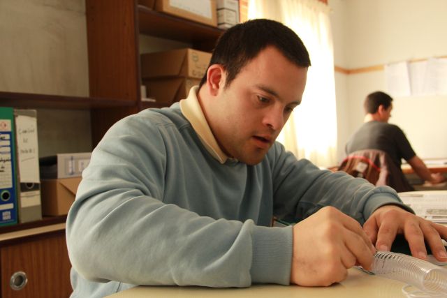 Inclusión laboral de personas con discapacidad intelectual en la Patagonia argentina.